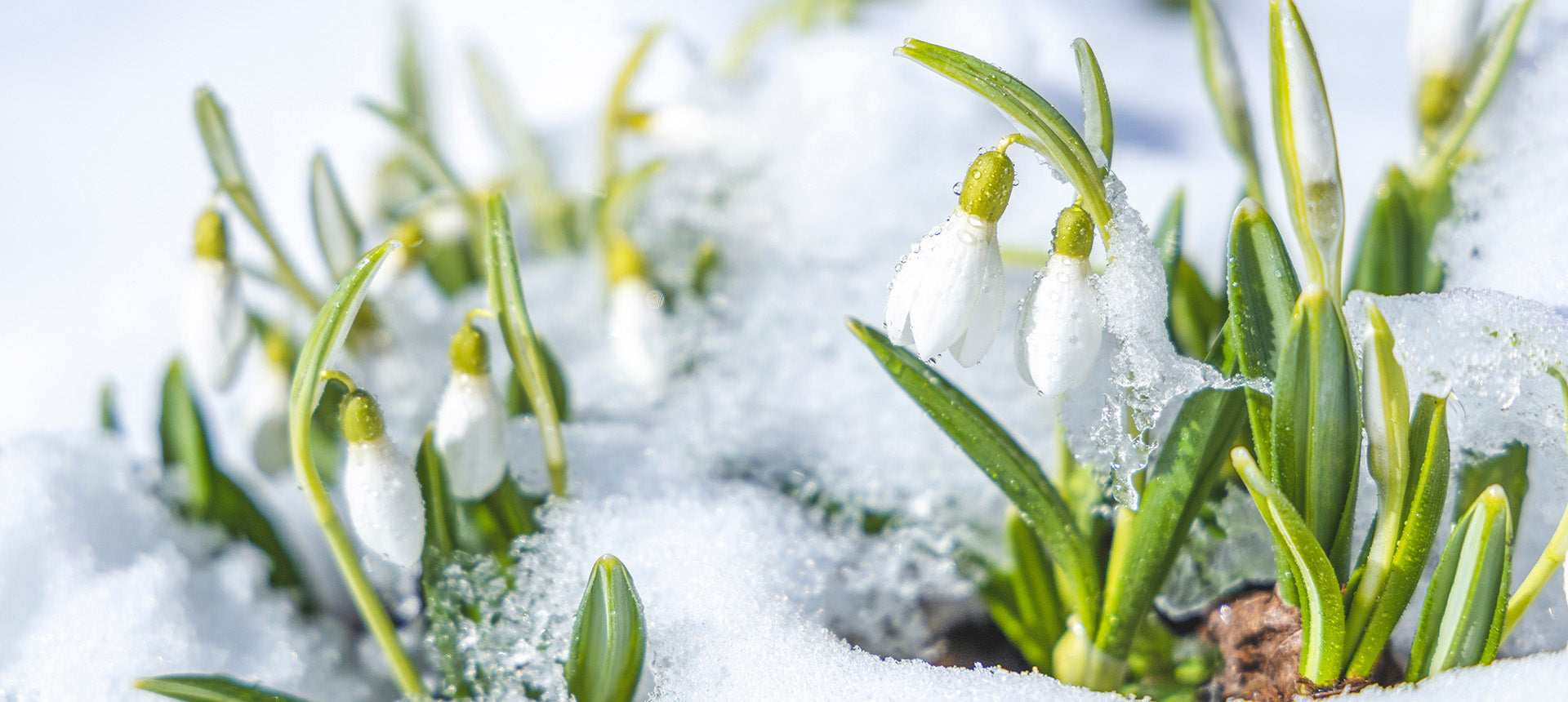 Unsere Produkte des Monats