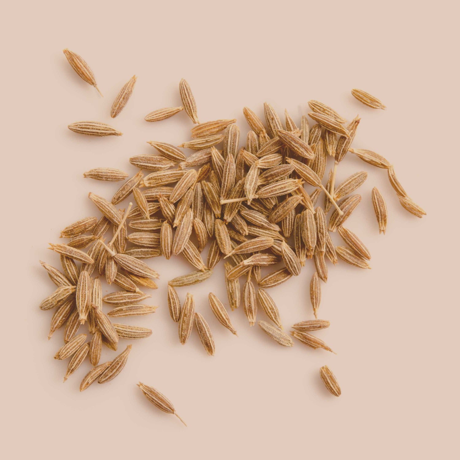 Bio Kreuzkümmel Pulver
