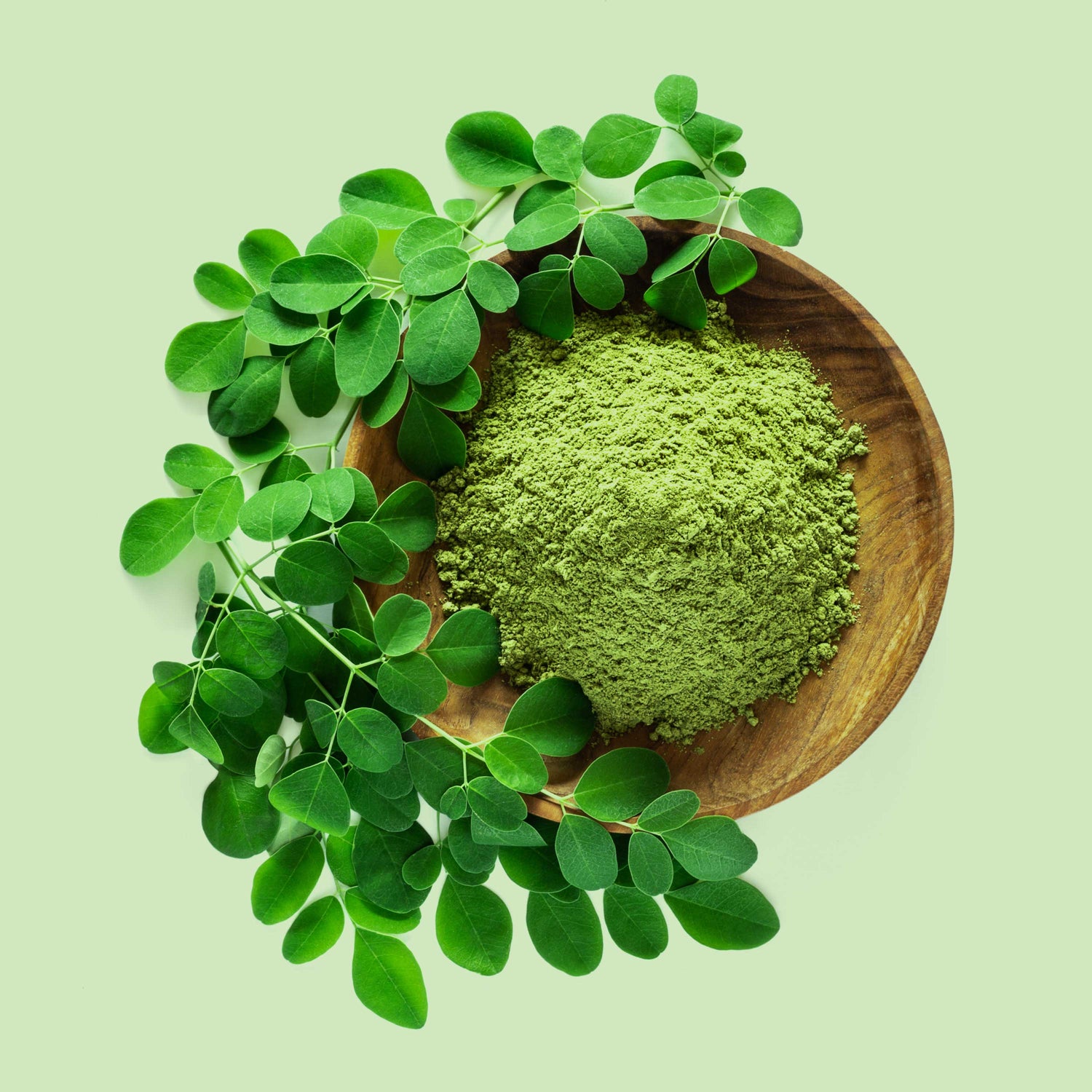 Frisches Moringa Blattpulver in Holzschale – naturbelassenes, grünes Superfood voller Vitamine, Mineralstoffe und sekundärer Pflanzenstoffe