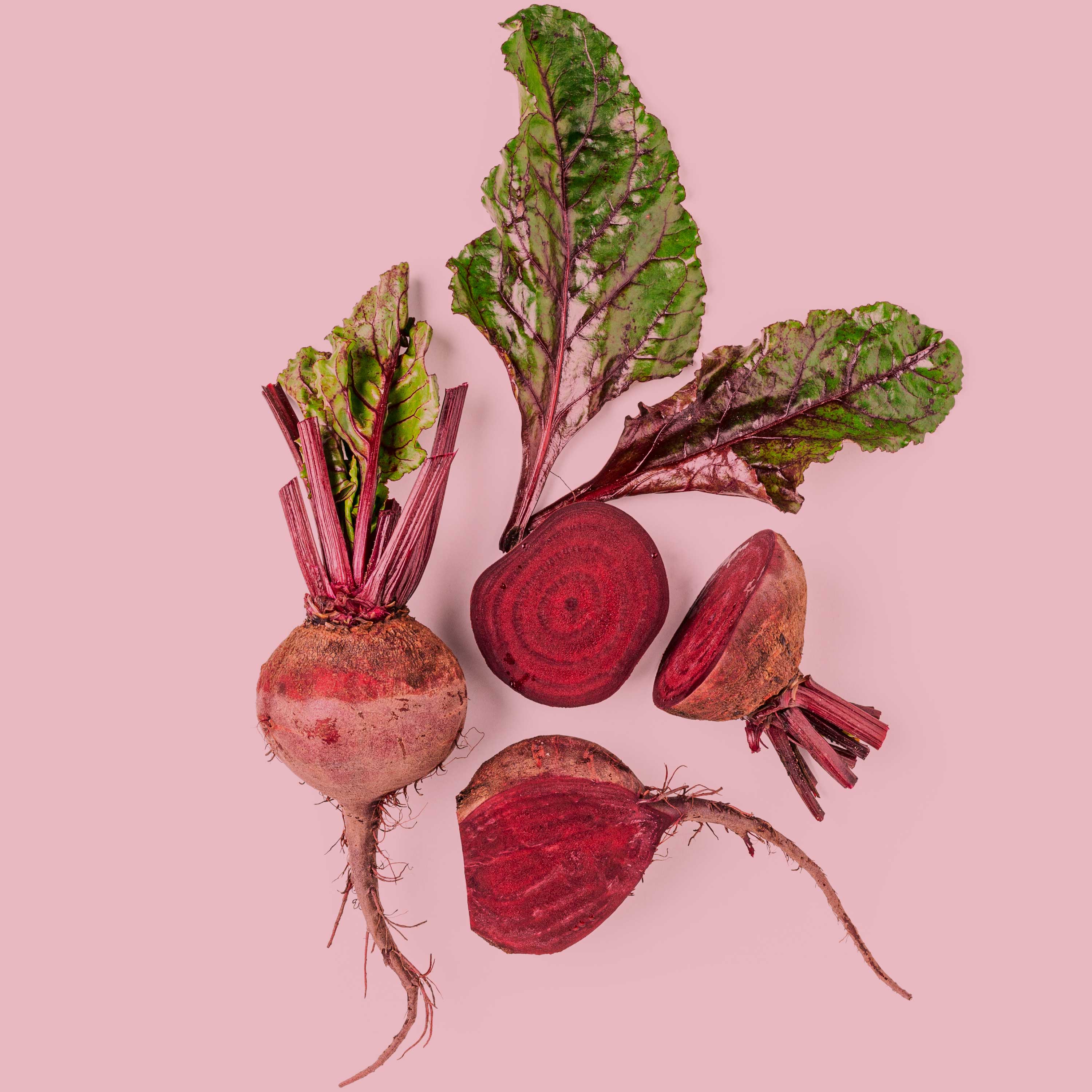 Rote Beete Pulver Bio