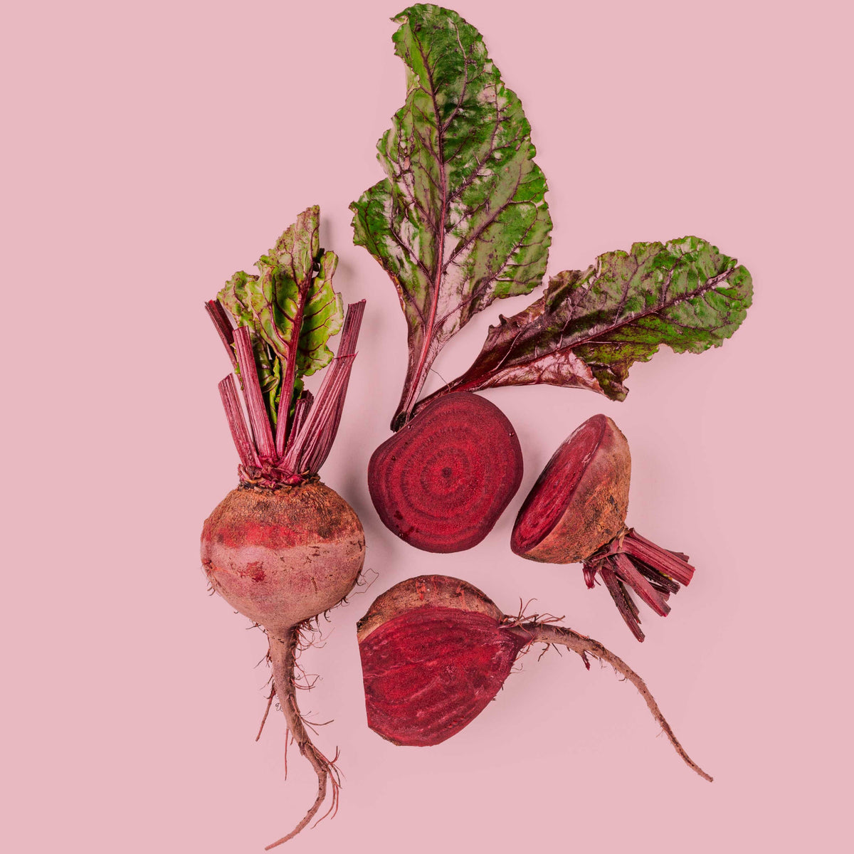 Frische Rote Beete Knollen – Basis für das SPINTZ Bio Rote Beete Pulver mit natürlicher Farbe und vollem Aroma