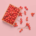 Hagebuttenpulver Bio