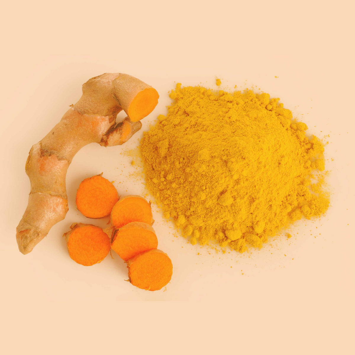 Frische Bio Kurkuma Wurzel mit gemahlenem Pulver – natürliche Farbe und intensiver Geschmack