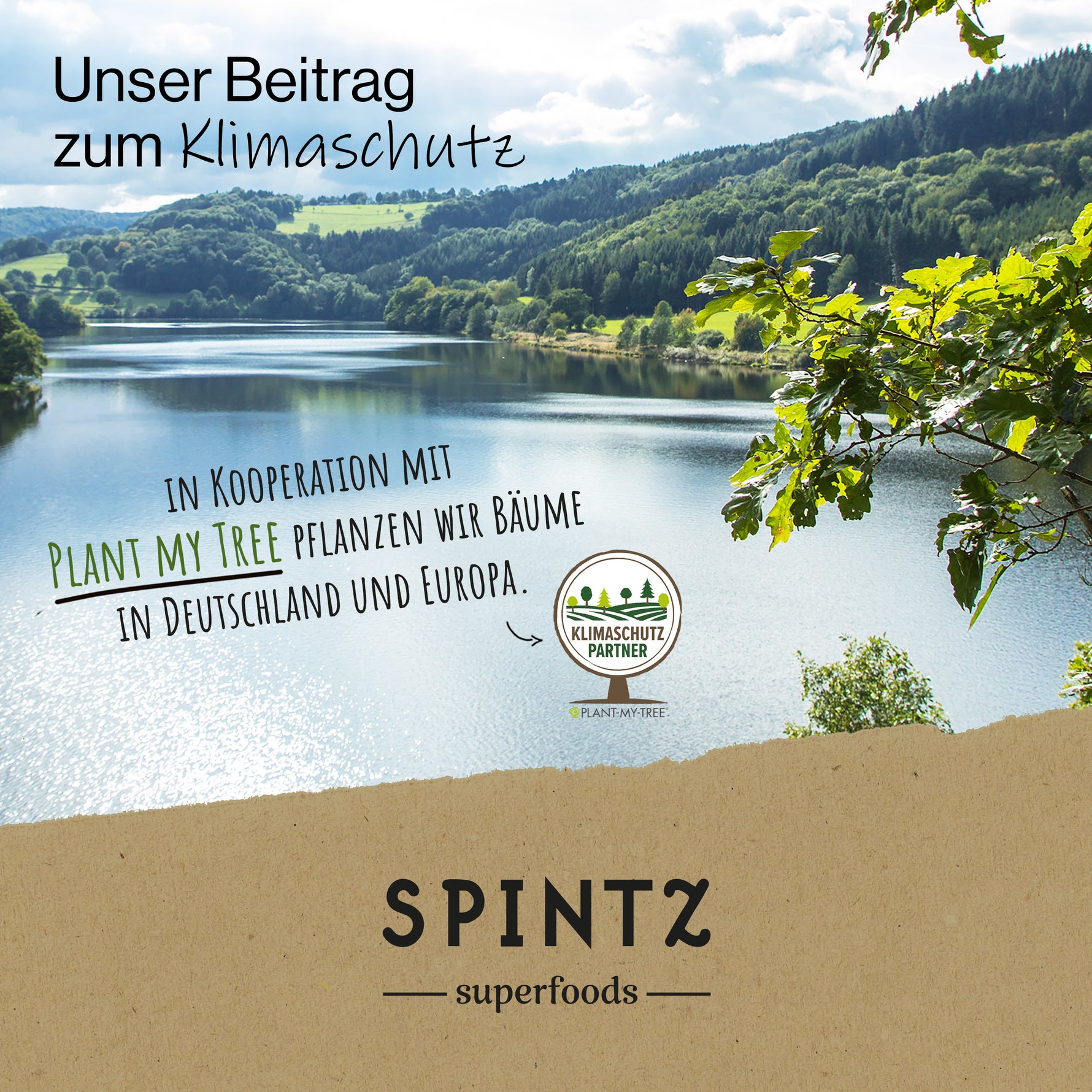 SPINTZ Beitrag zum Klimaschutz durch Baumpflanzungen in Deutschland und Europa