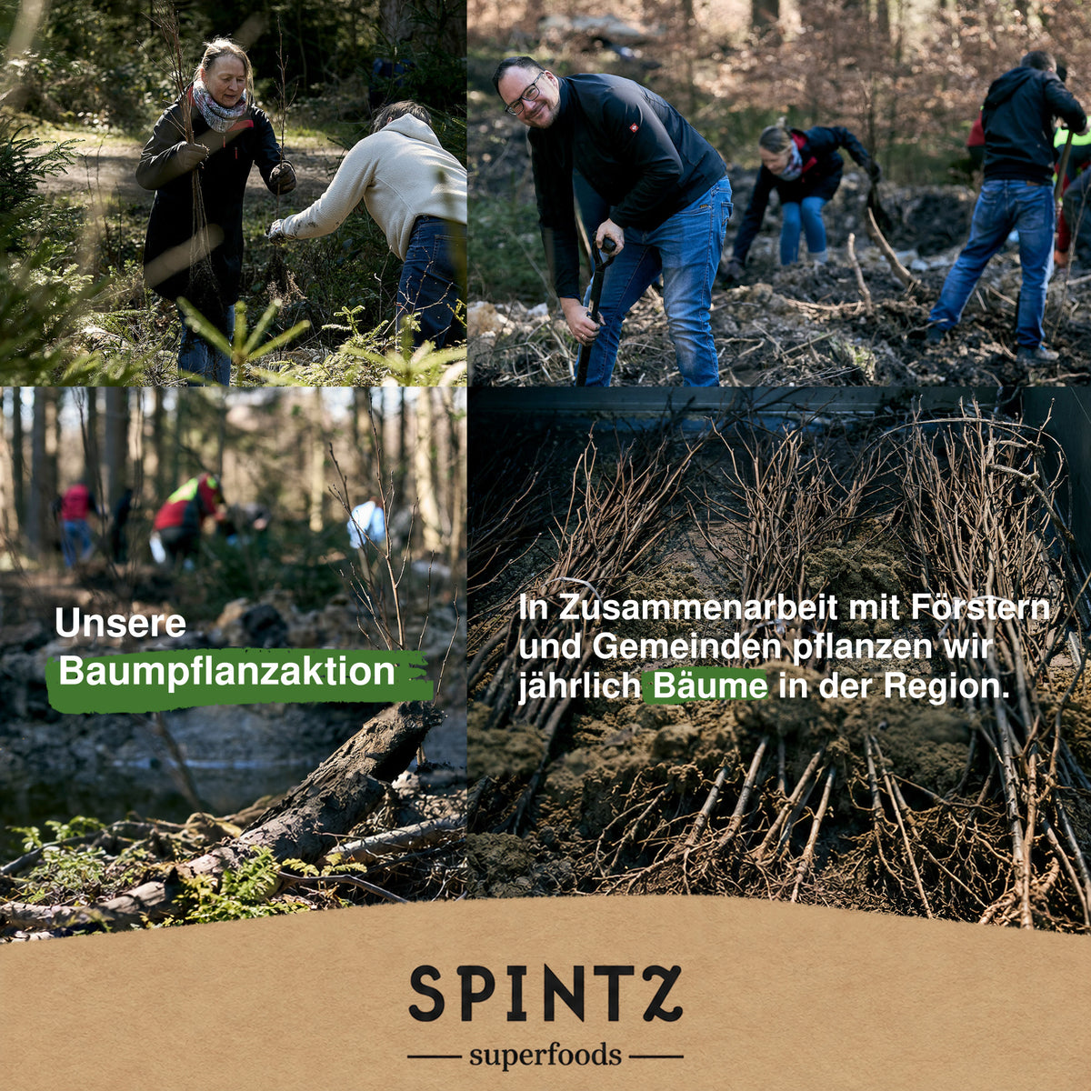 Helfer bei einer Baumpflanzaktion von SPINTZ im Wald.