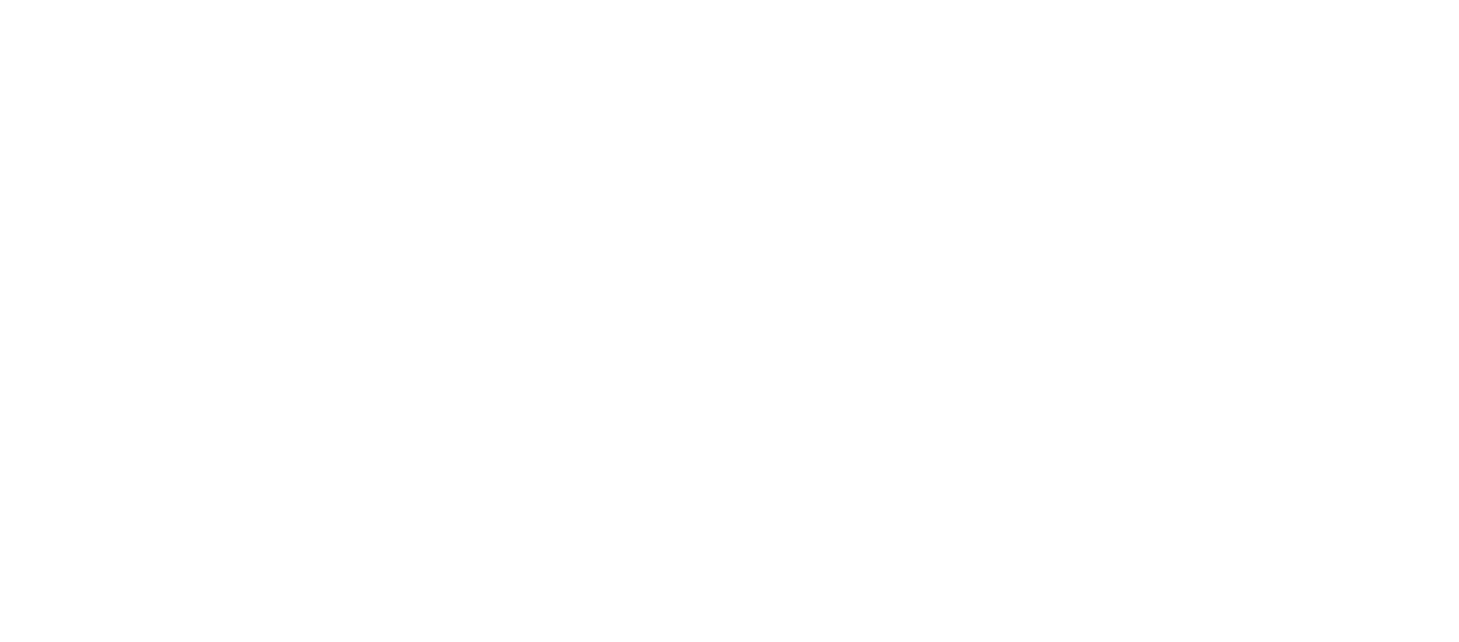 Spintz