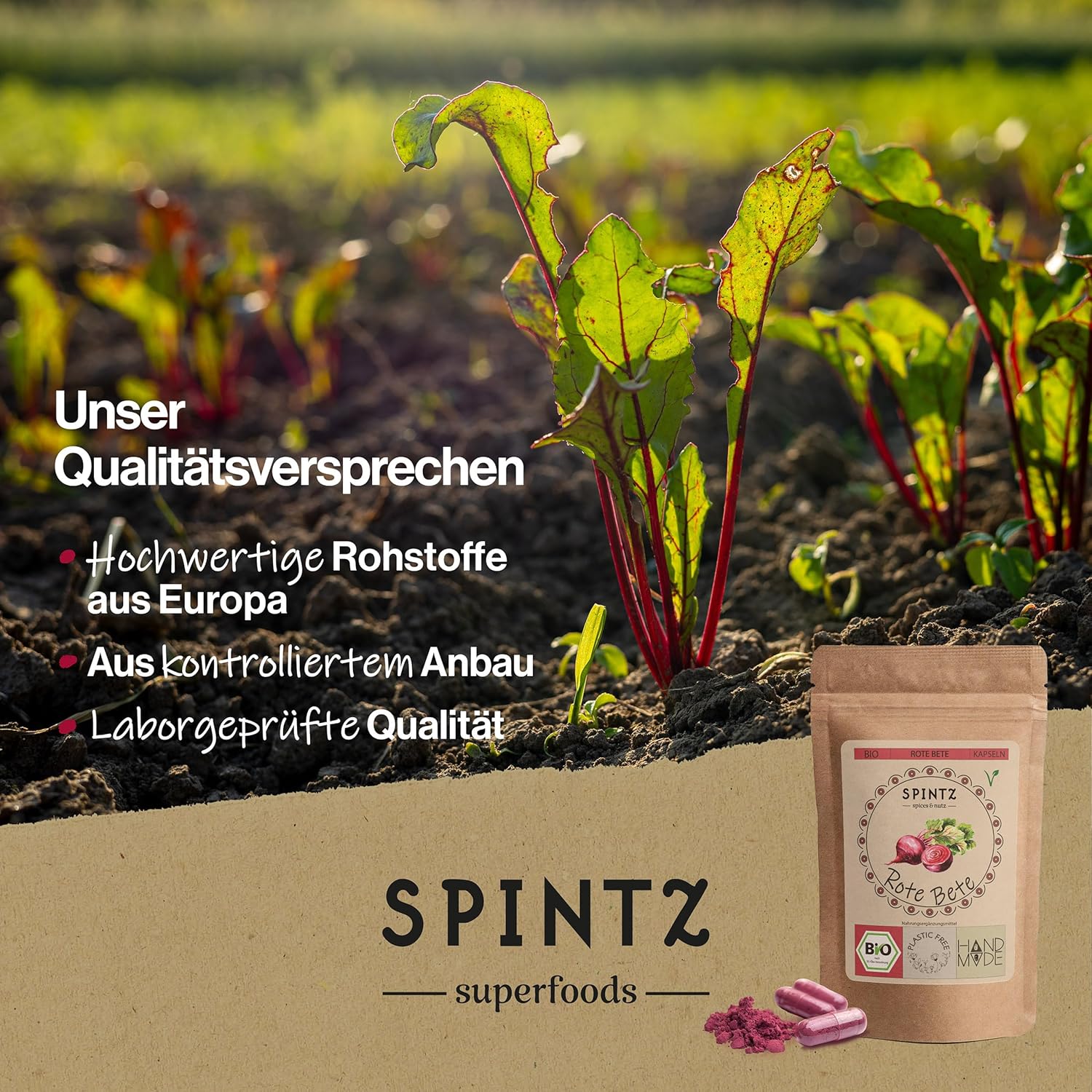 Bio Rote Bete von SPINTZ – Qualitätsversprechen mit frischer Rote-Bete-Pflanze auf dem Feld, kontrolliert biologischer Anbau aus Europa, laborgeprüfte Qualität, nachhaltiges Superfood im umweltfreundlichen Doypack