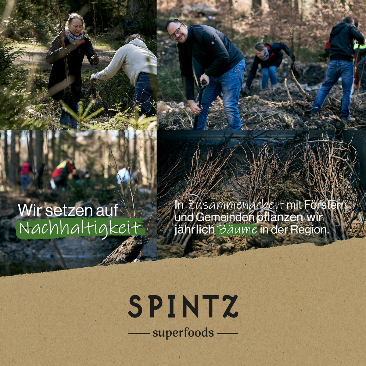 SPINTZ Klimaschutzinitiative – mit jedem Kauf wird ein Baum in der Eifel gepflanzt zur CO₂-Kompensation