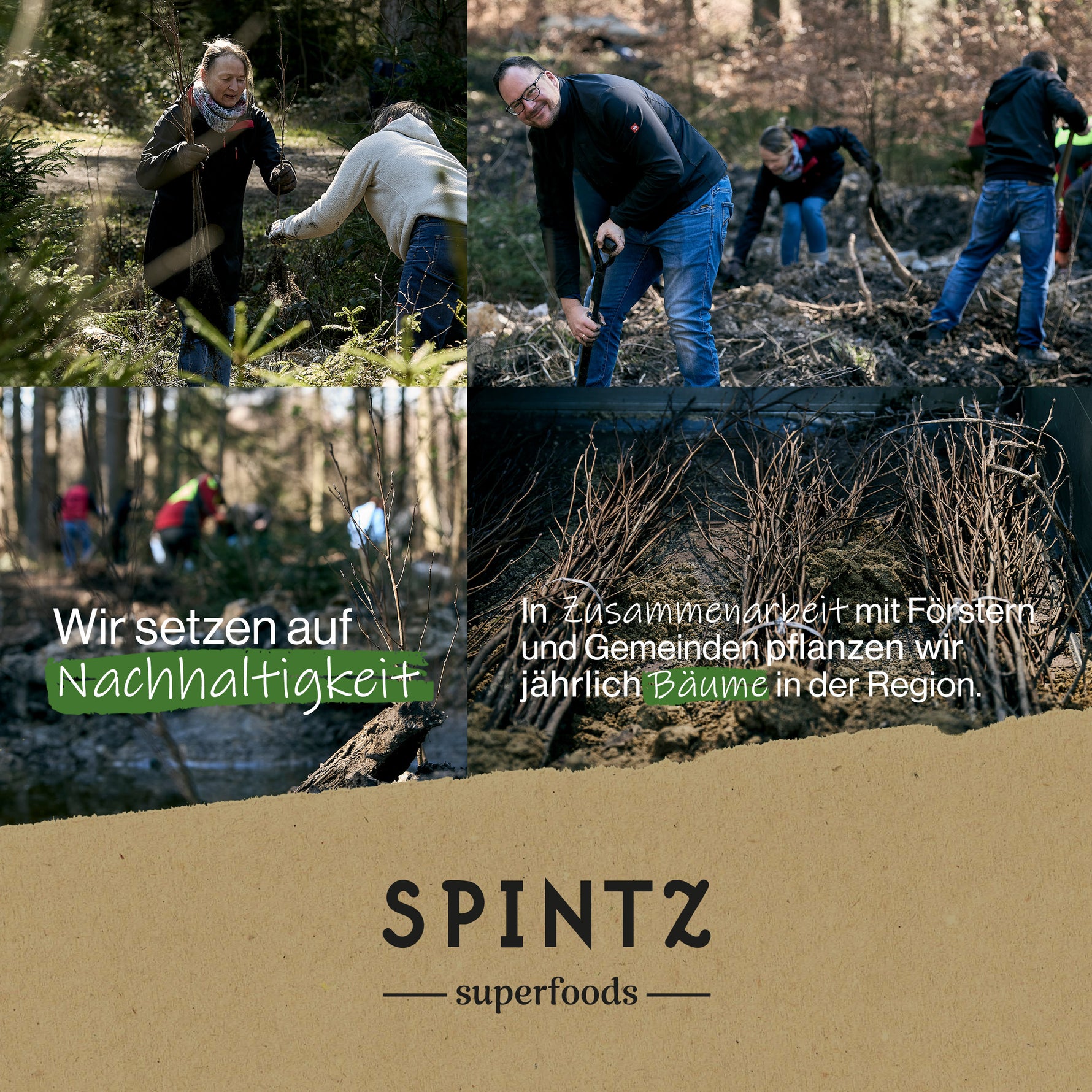 SPINTZ Klimaschutzinitiative – mit jedem Kauf wird ein Baum in der Eifel gepflanzt zur CO₂-Kompensation