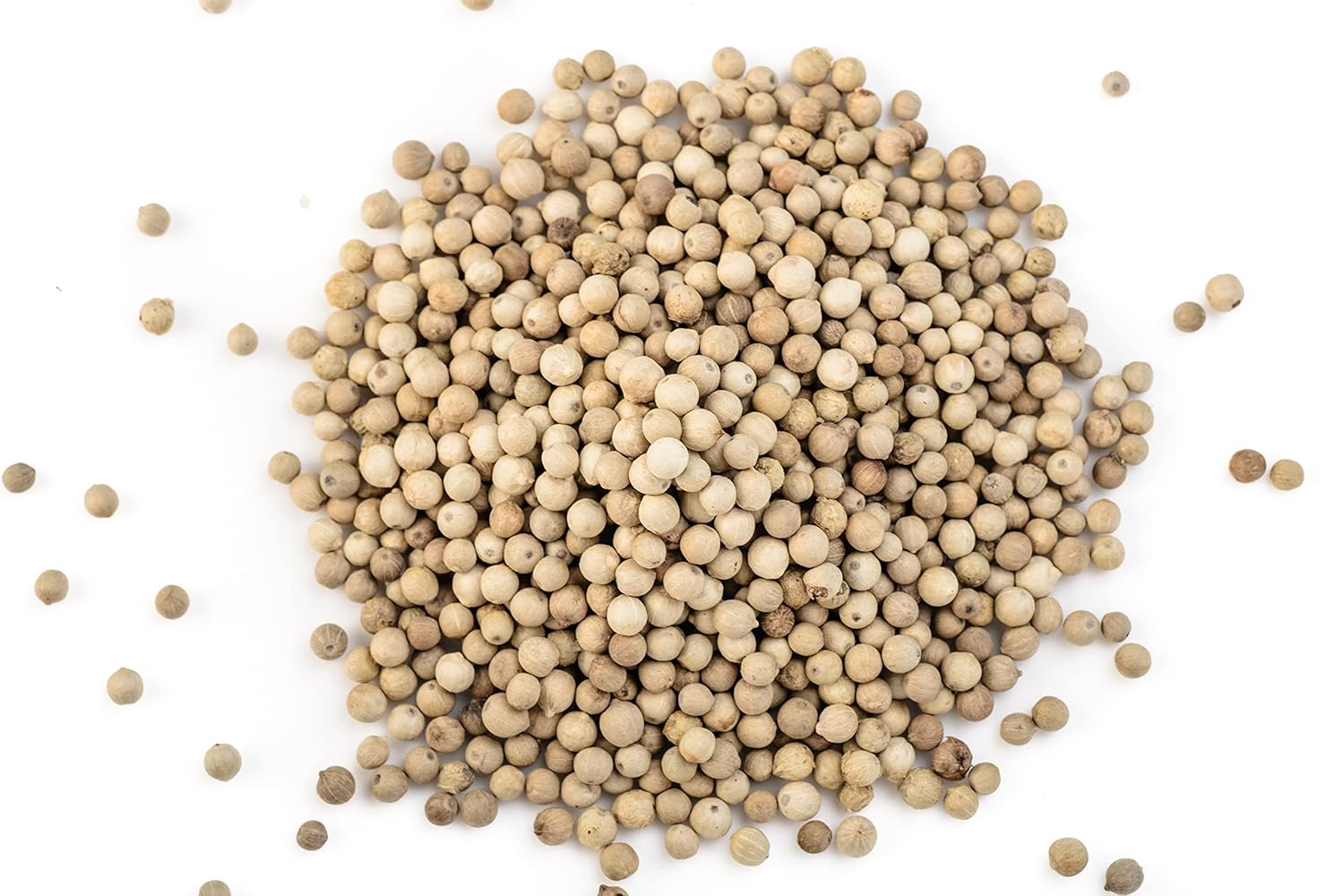 Ganze weiße Pfefferkörner von SPINTZ – naturbelassen, mild-würzig und ideal zum Mahlen