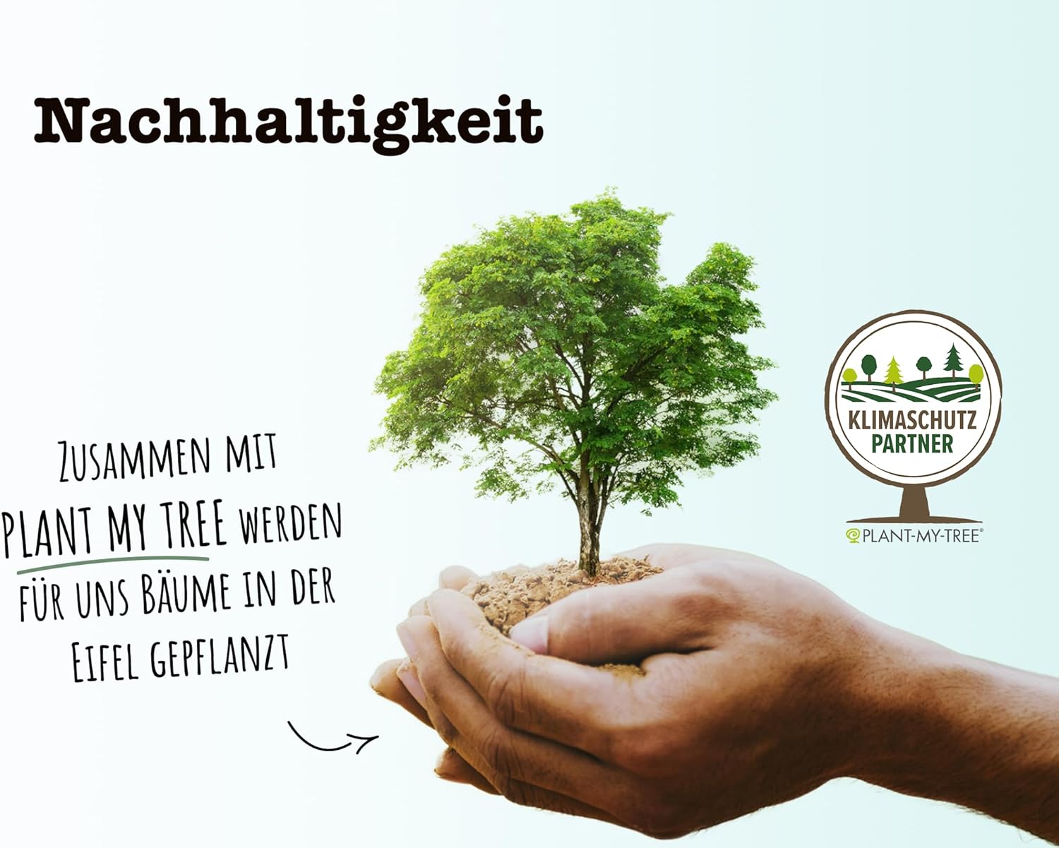 SPINTZ Nachhaltigkeit – in Kooperation mit Plant-My-Tree, Bäume pflanzen für Umwelt- und Klimaschutz in Deutschland