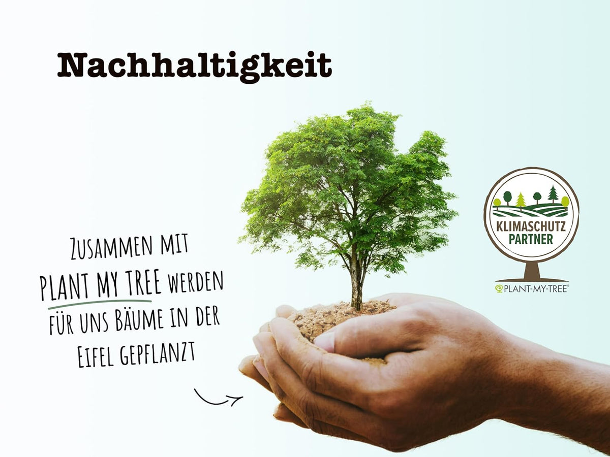 SPINTZ Nachhaltigkeit – in Kooperation mit Plant-My-Tree, Aufforstungsprojekte für den Klimaschutz in Deutschland und der Eifel