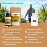 Vergleich der SPINTZ KSM-66 Ashwagandha Kapseln mit herkömmlichen Ashwagandha-Produkten