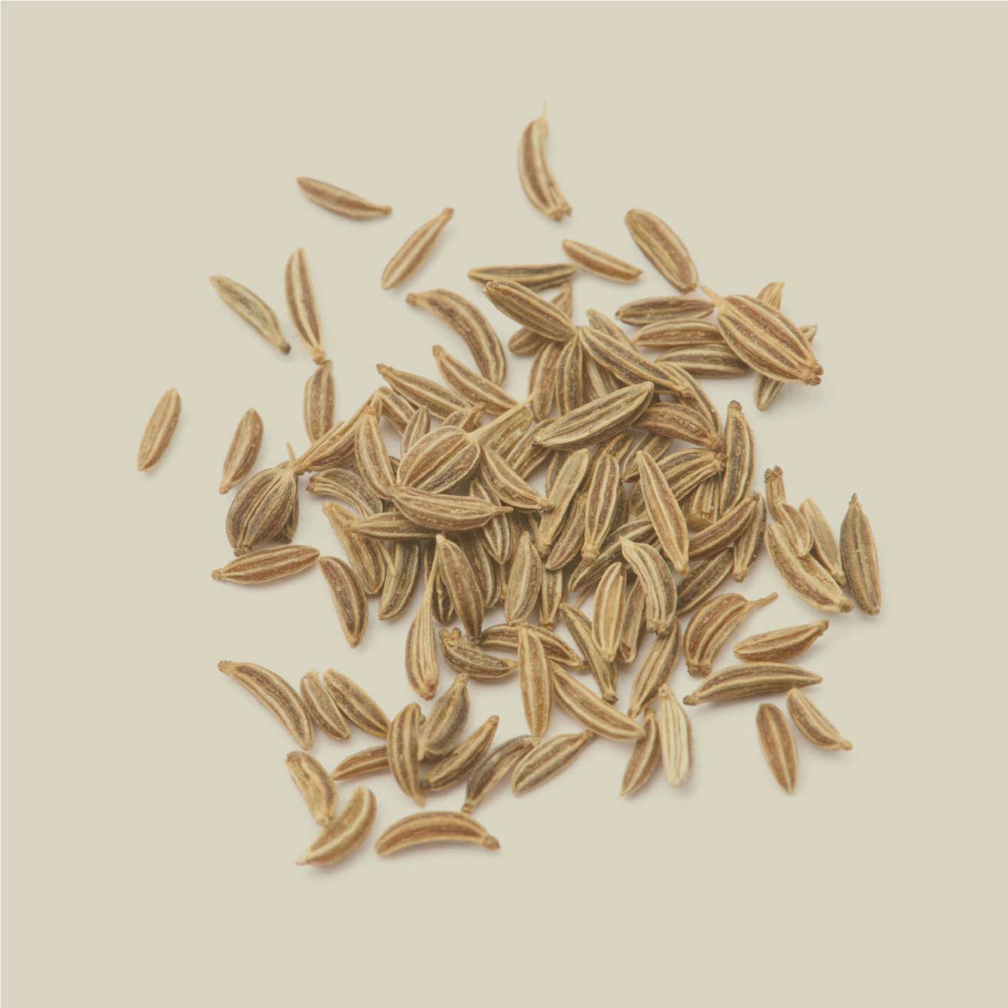 Bio Kümmel von Spintz