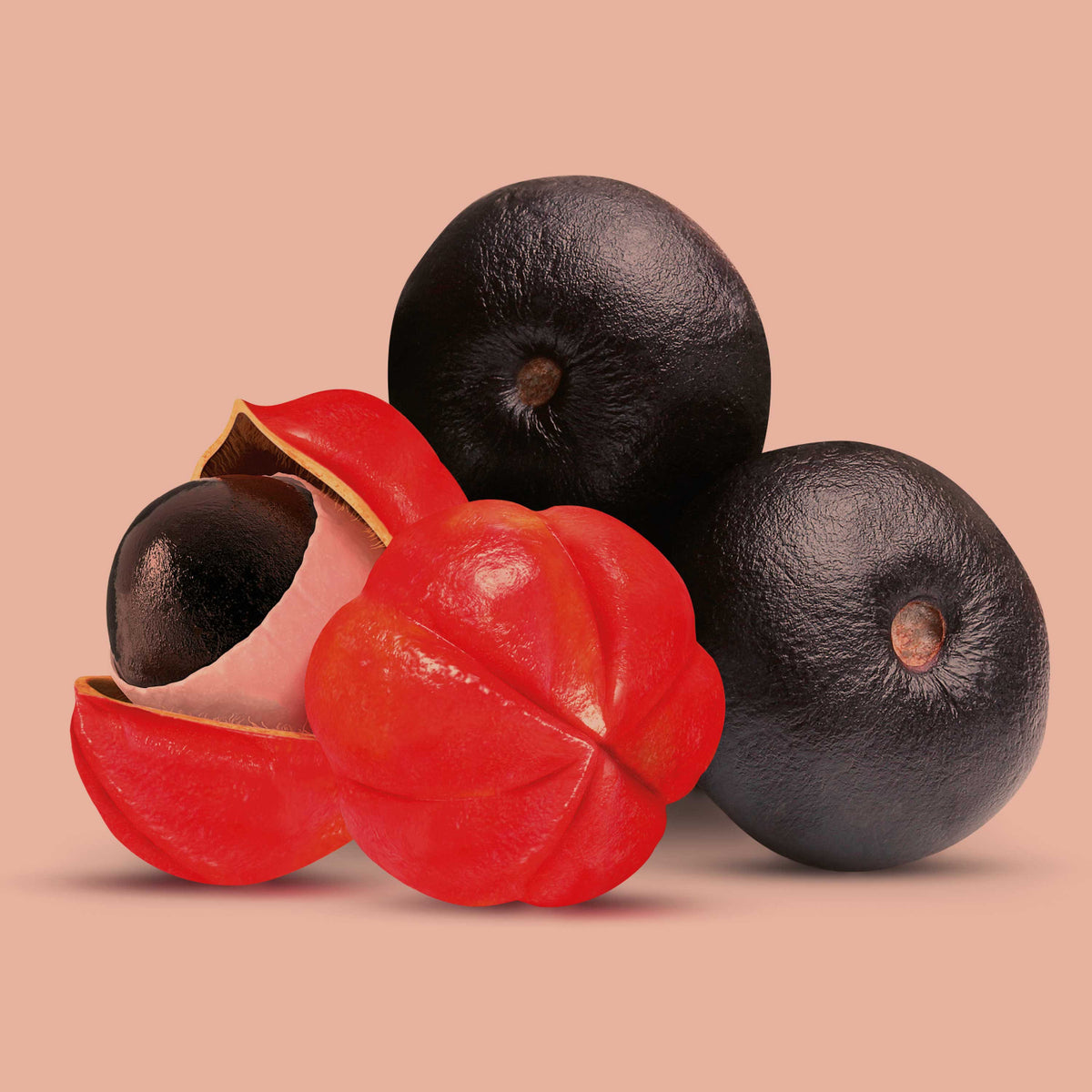 Frische Guarana-Früchte mit roten Schalen und schwarzen Samen – natürliche Quelle für Energie