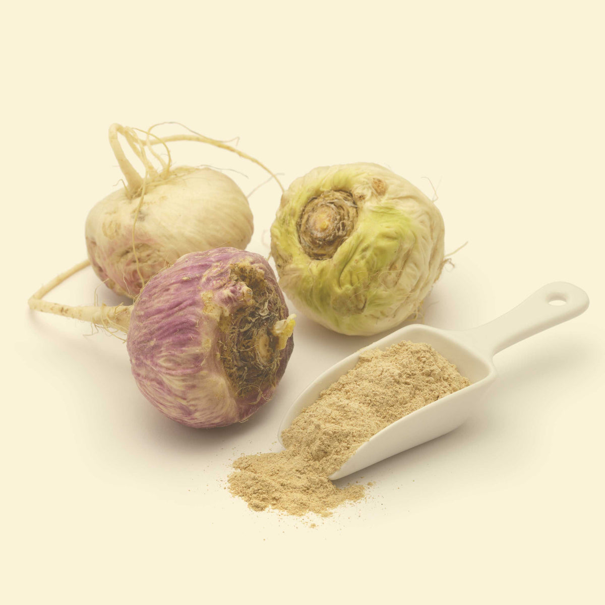 Frische Maca-Wurzeln und feines Maca-Pulver – reine pflanzliche Energiequelle aus kontrolliert biologischem Anbau