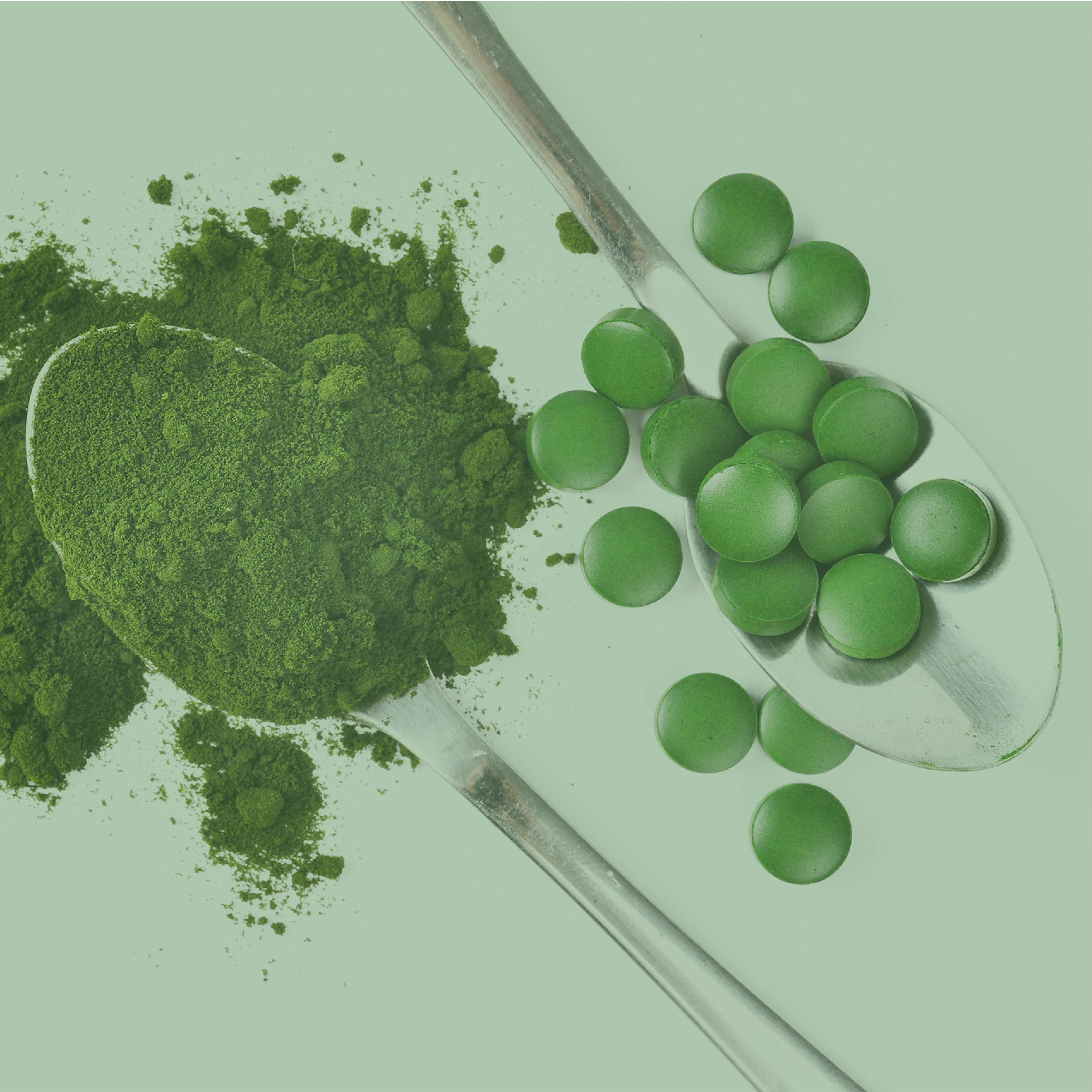 Bio Chlorella Presslinge